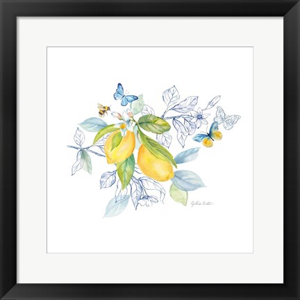 Framed Lemon Sketch Book II Print