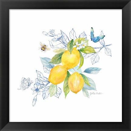 Framed Lemon Sketch Book III Print