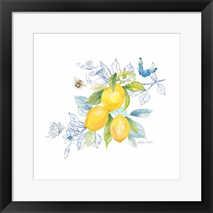 Framed Lemon Sketch Book III Print