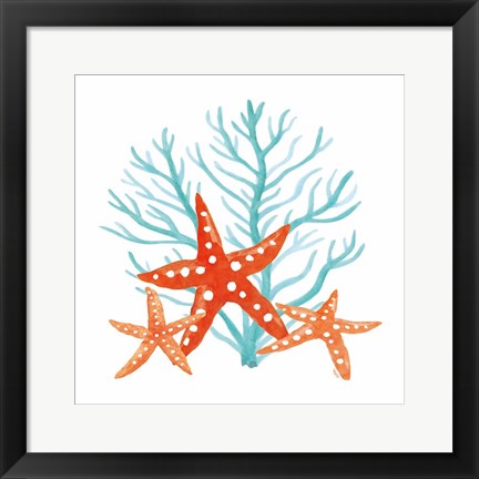 Framed Coral Aqua XIII Print