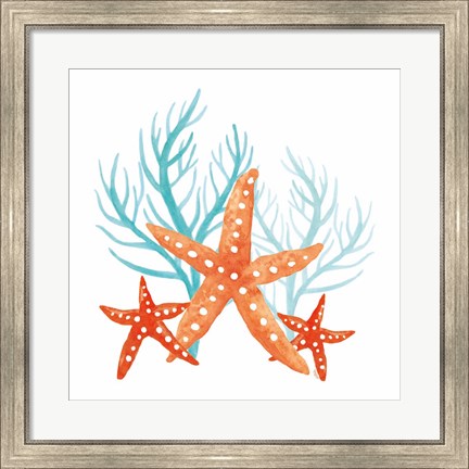 Framed Coral Aqua XIV Print