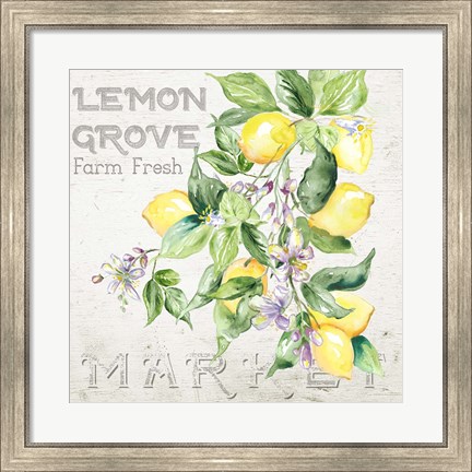 Framed Lemon Grove II Print