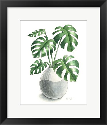 Framed Potted Exotics II Print