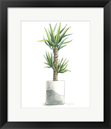 Framed Potted Exotics III Print