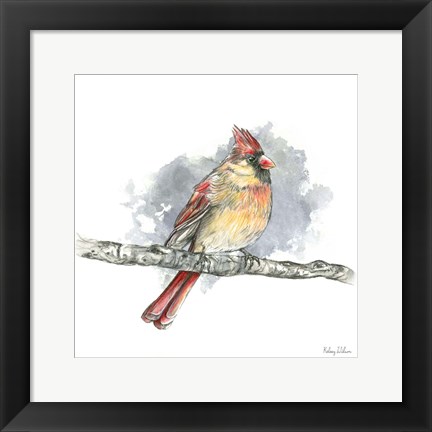 Framed Birds &amp; Branches II-Female Cardinal Print