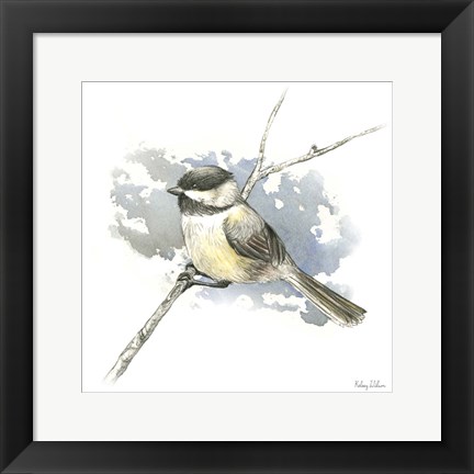 Framed Birds &amp; Branches III-Chickadee Print