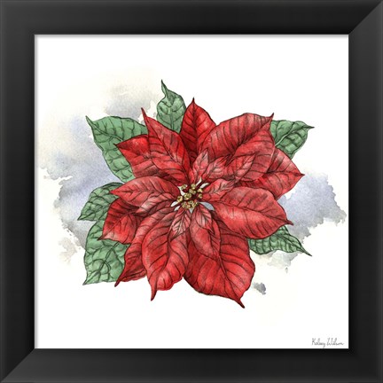 Framed Winter Poinsetta I Print