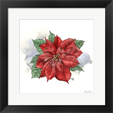 Framed Winter Poinsetta I Print