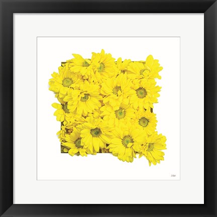 Framed Floral Pop II Print