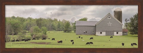 Framed Grazing Away Print