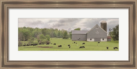 Framed Grazing Away Print