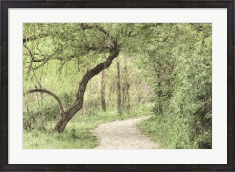 Framed Wildwood Lake Print