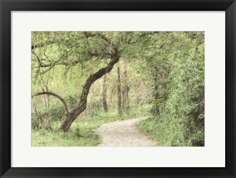 Framed Wildwood Lake Print