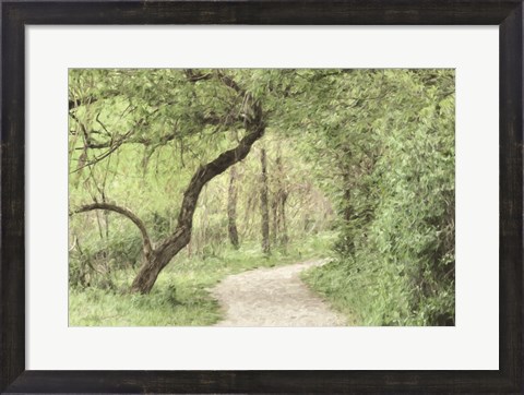 Framed Wildwood Lake Print