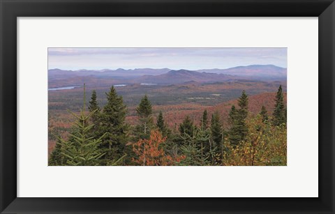 Framed Adirondack Panorama Print