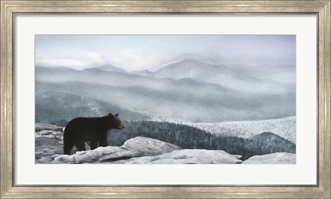 Framed Cascade Mountain Bear Print