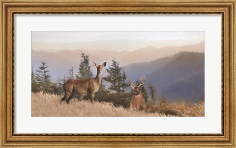 Framed Cascade Mountain Deer Print