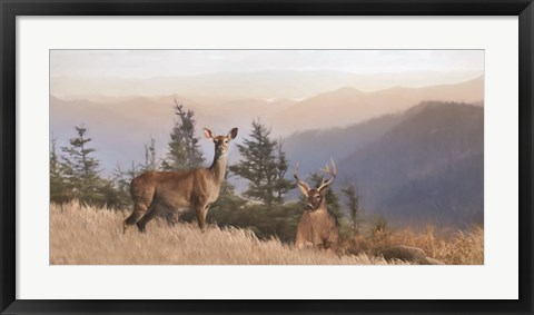 Framed Cascade Mountain Deer Print