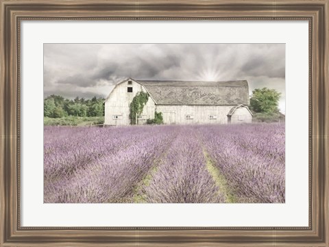 Framed Shades of Lavender and Gray Print