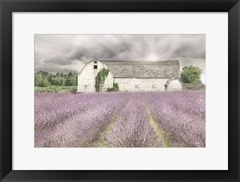 Framed Shades of Lavender and Gray Print