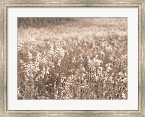 Framed Fall Field Print