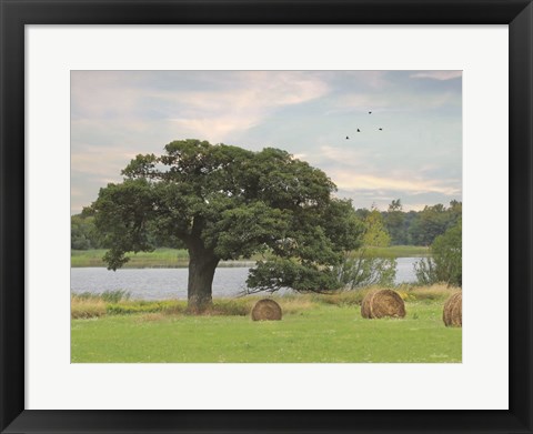 Framed Summer Hay Harvest Print