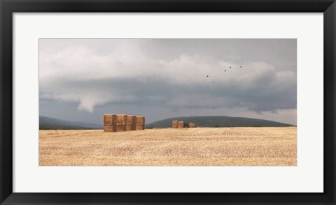 Framed Stormy Day Harvest I Print