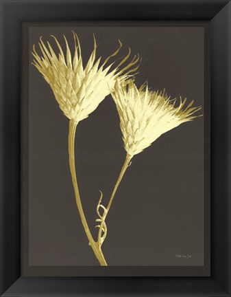 Framed Forms in Nature 2 Print