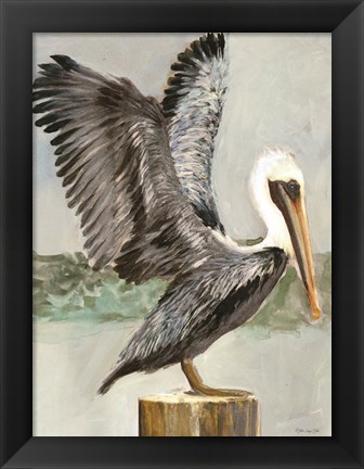 Framed Brown Pelican 2 Print