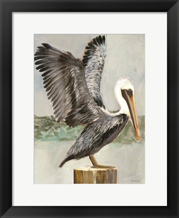 Framed Brown Pelican 2 Print