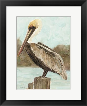 Framed Brown Pelican 3 Print