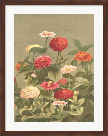 Framed Antique Botanical Collection 1 Print