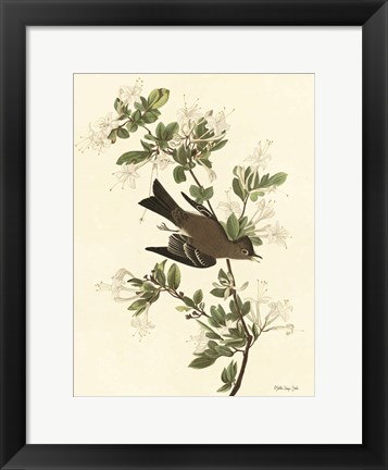 Framed Vintage Bird 1 Print