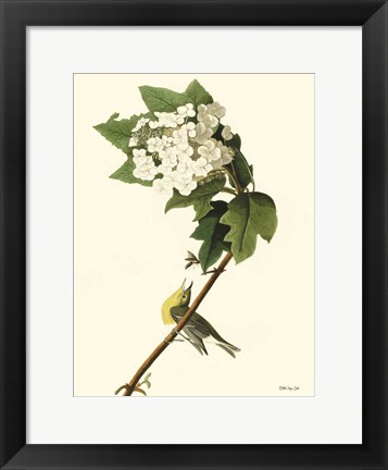 Framed Vintage Bird 3 Print