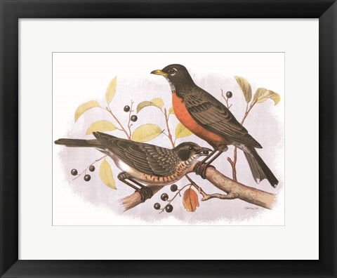 Framed Birds and Berries Print