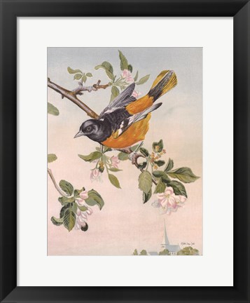 Framed Spring Song Bird Print