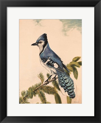 Framed Bluebird on Evergreen Print