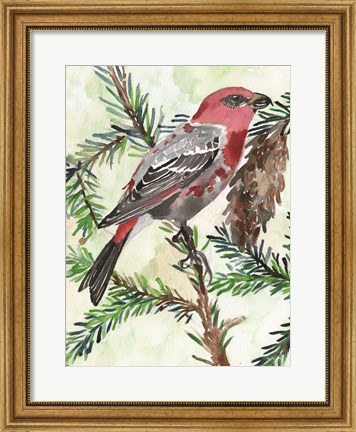 Framed Bird and Branch 1 Print