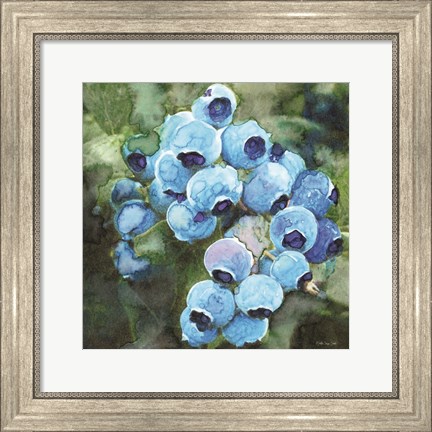 Framed Blueberries 3 Print
