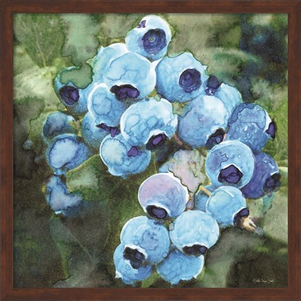 Framed Blueberries 3 Print