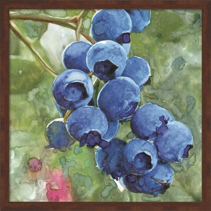 Framed Blueberries 4 Print