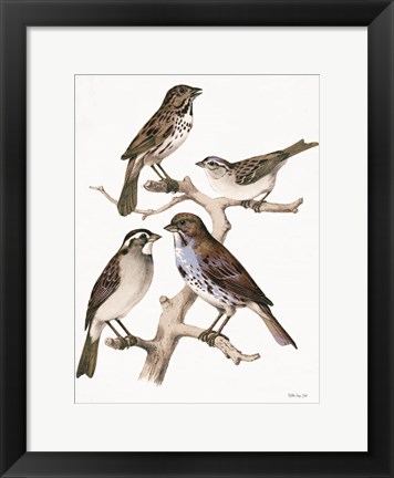 Framed Birds on Branch Print