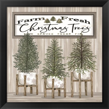 Framed Potted Christmas Trees Print