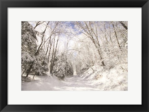 Framed Winter Storm Print