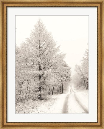 Framed Berry Mountain Road Print