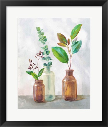 Framed Natural Riches III Clear Vase Print