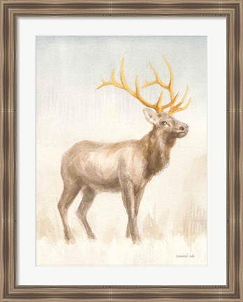 Framed Regal Wild I Print