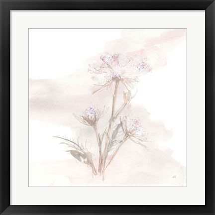 Framed Queen Annes Lace IV Print