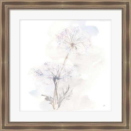 Framed Queen Annes Lace III Print