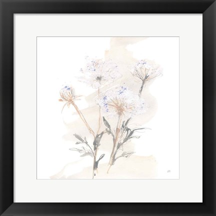 Framed Queen Annes Lace II Print